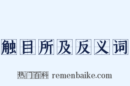 触目所及反义词是什么意思的图片